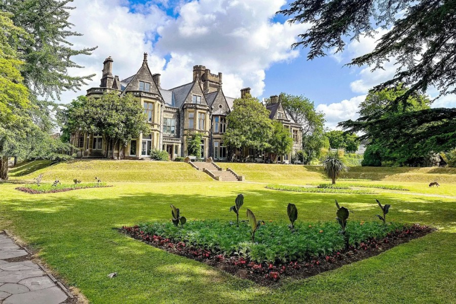 insole court insole court
